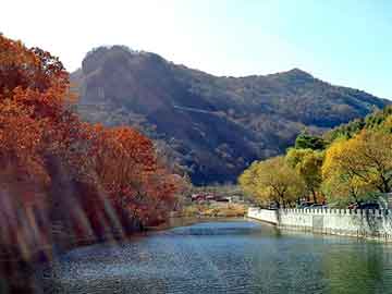 国际局势